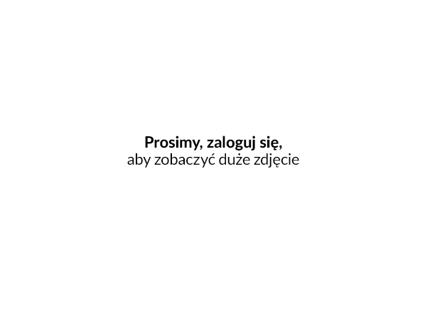 Nowe typy wiadomości - Nowe typy wiadomości